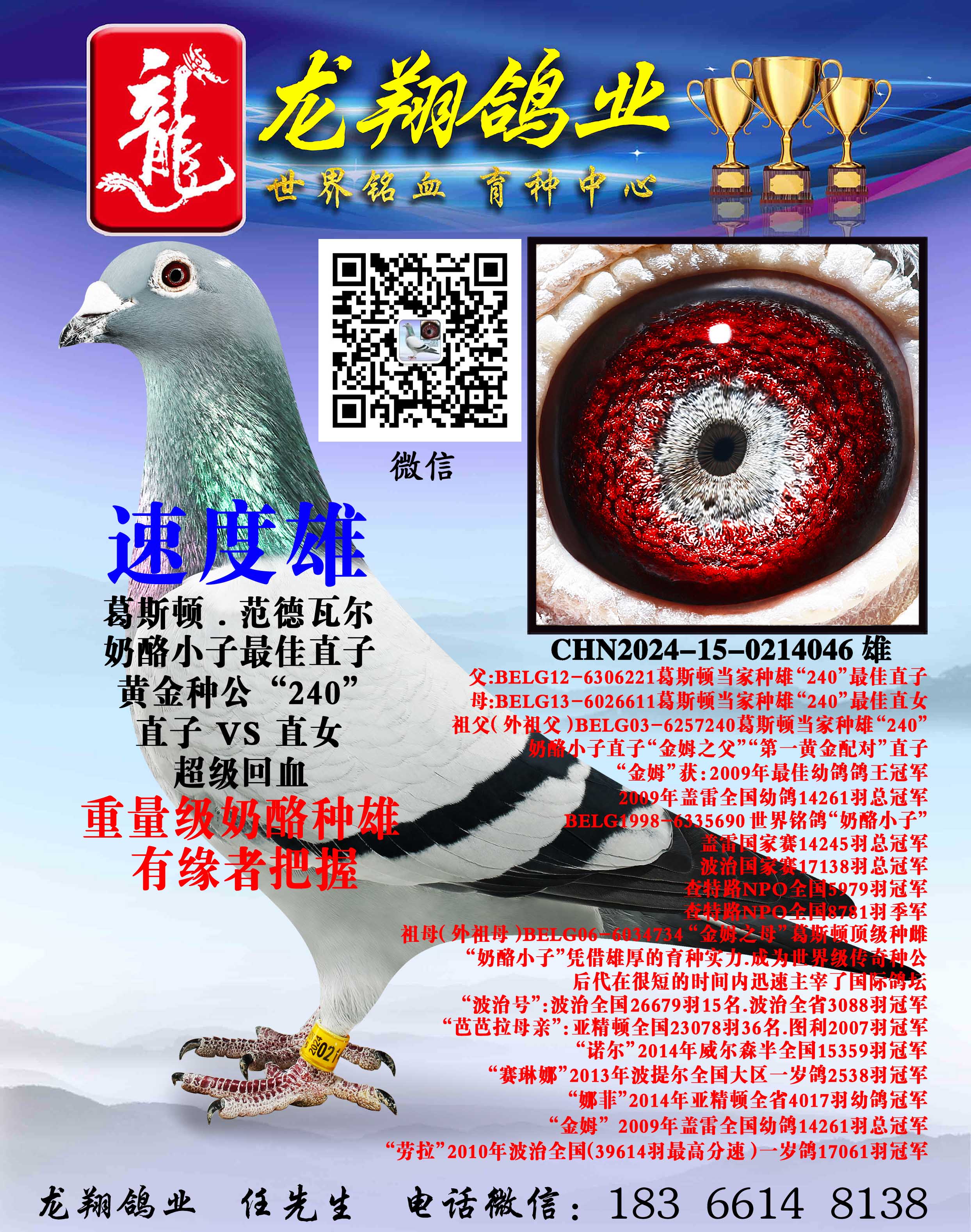 ��������С���۳���