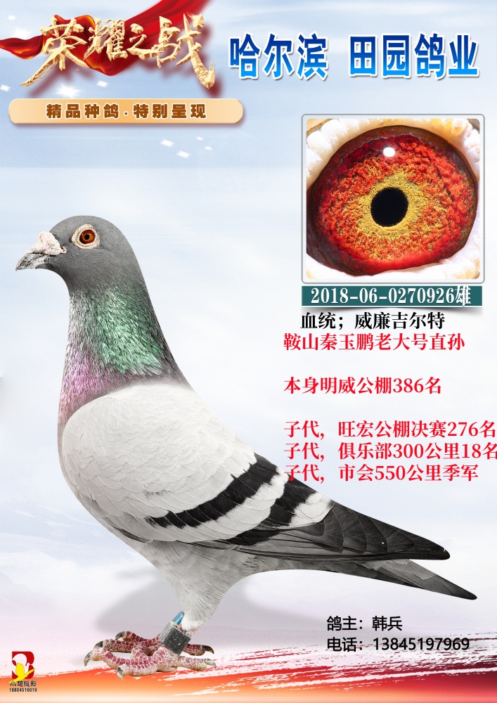 ��ɽ�������ϴ��ֱ��