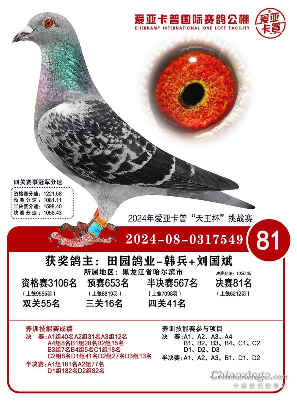 ����ǿ��վ���80��