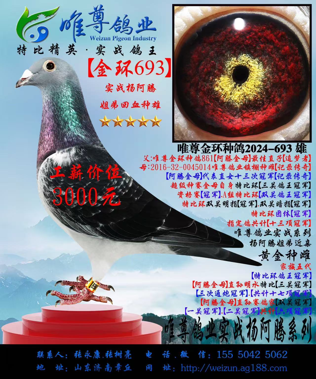 ����693�����ʵսϵ��