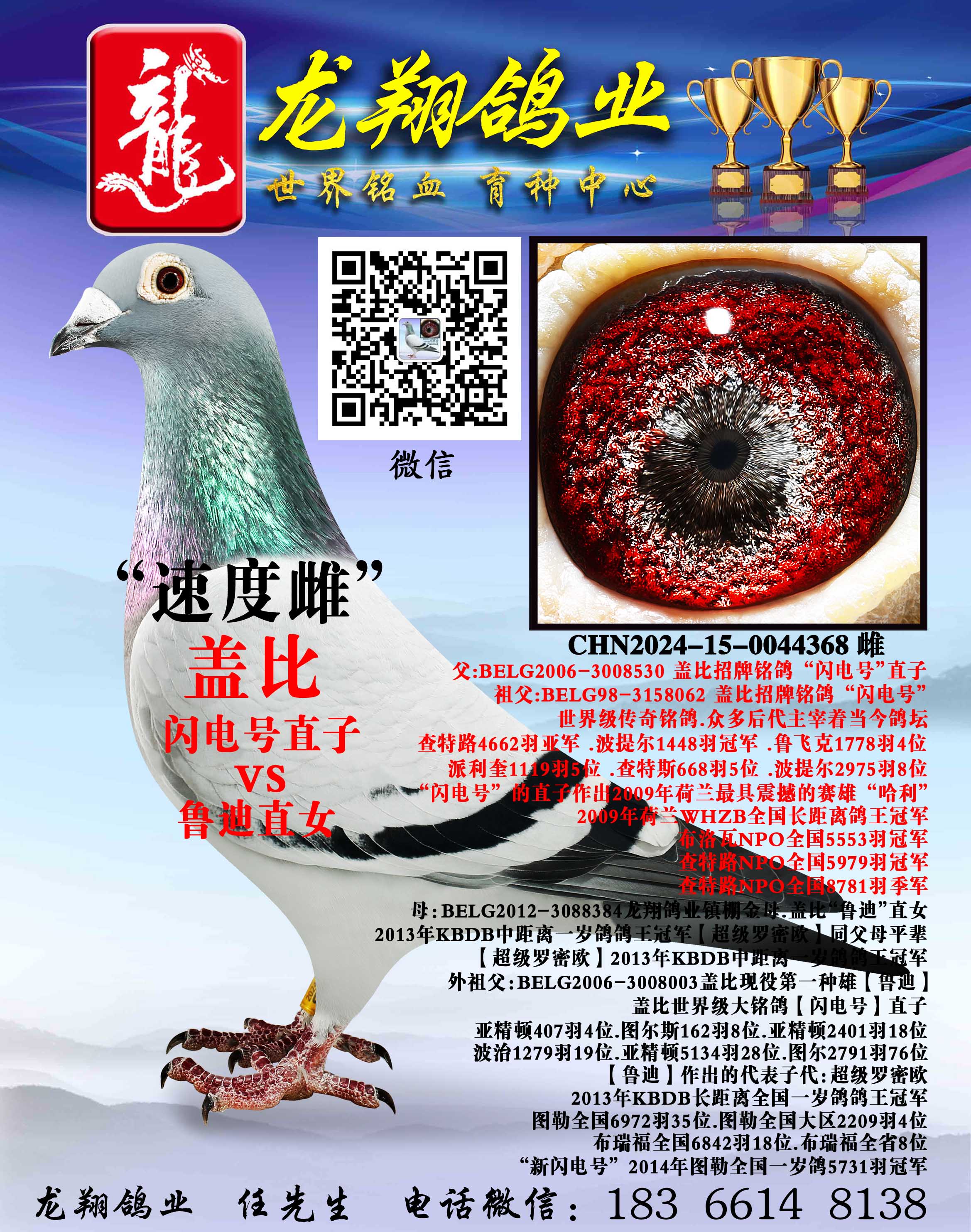 ���׸ǱȴƳ���