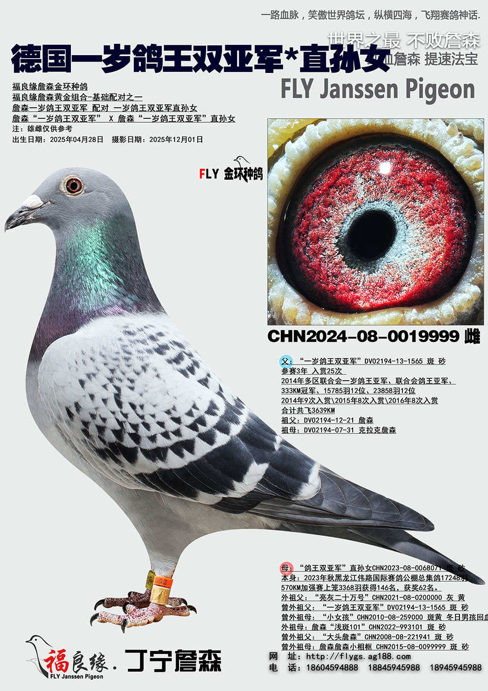 �¹�һ�����˫�Ǿ�*ֱ��Ů