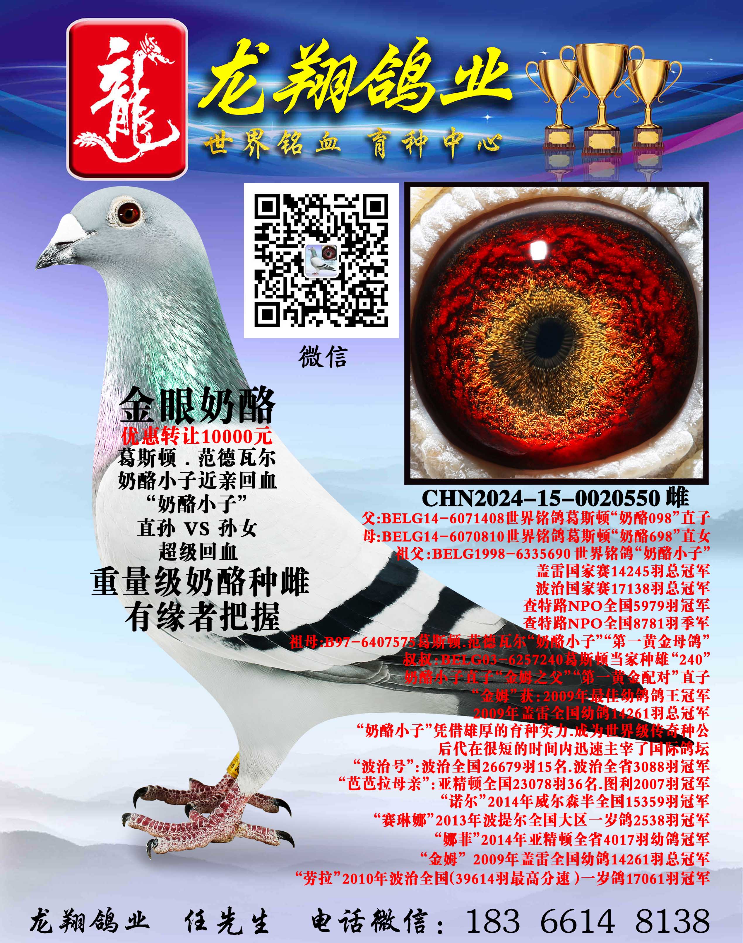 ��������С�ӴƳ���