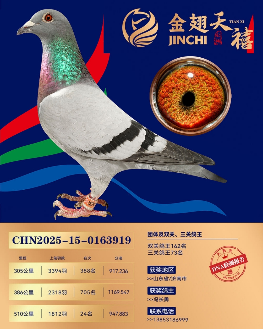 2025�������������������24��