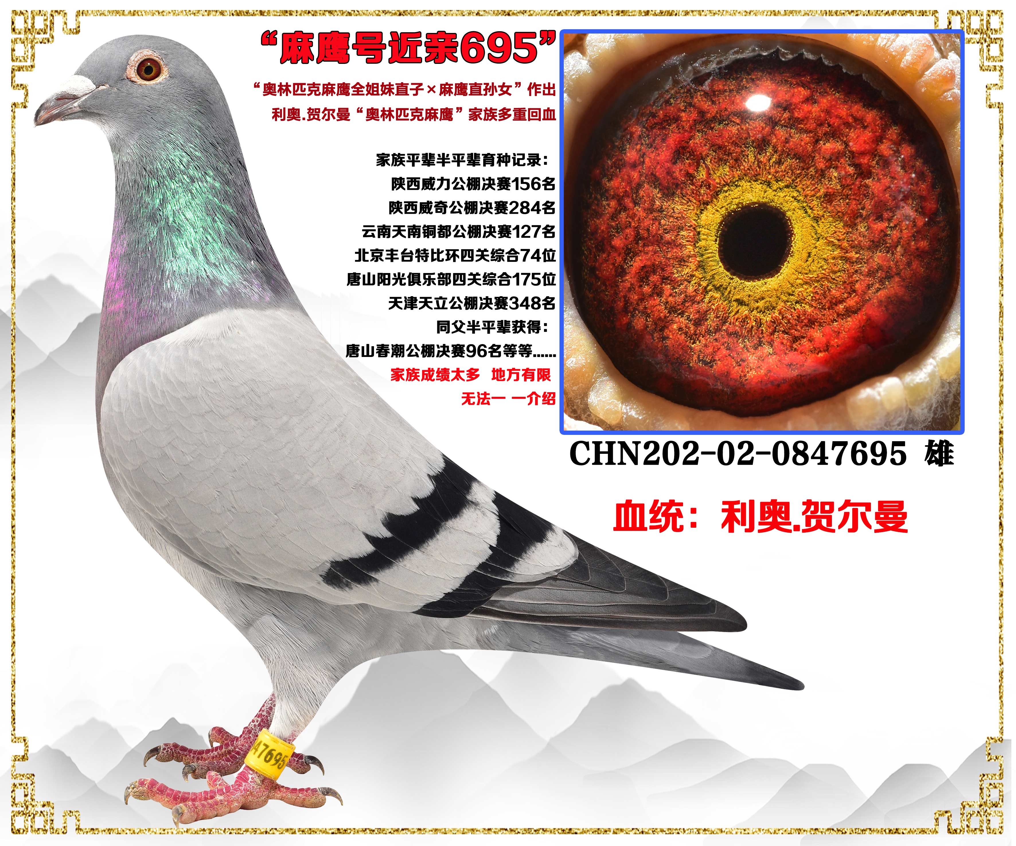 ���ڻ���������.....