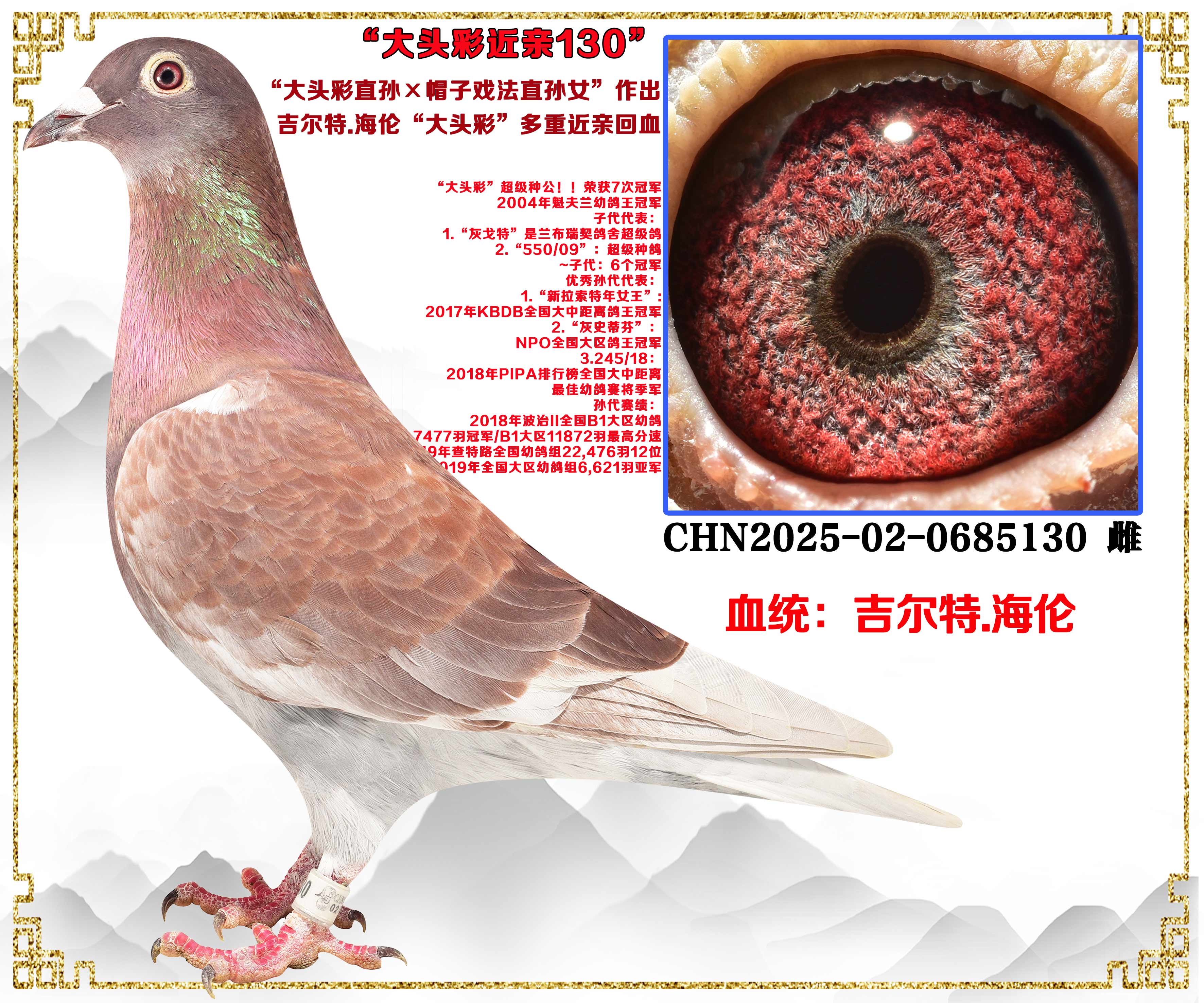 ���ڻ���������