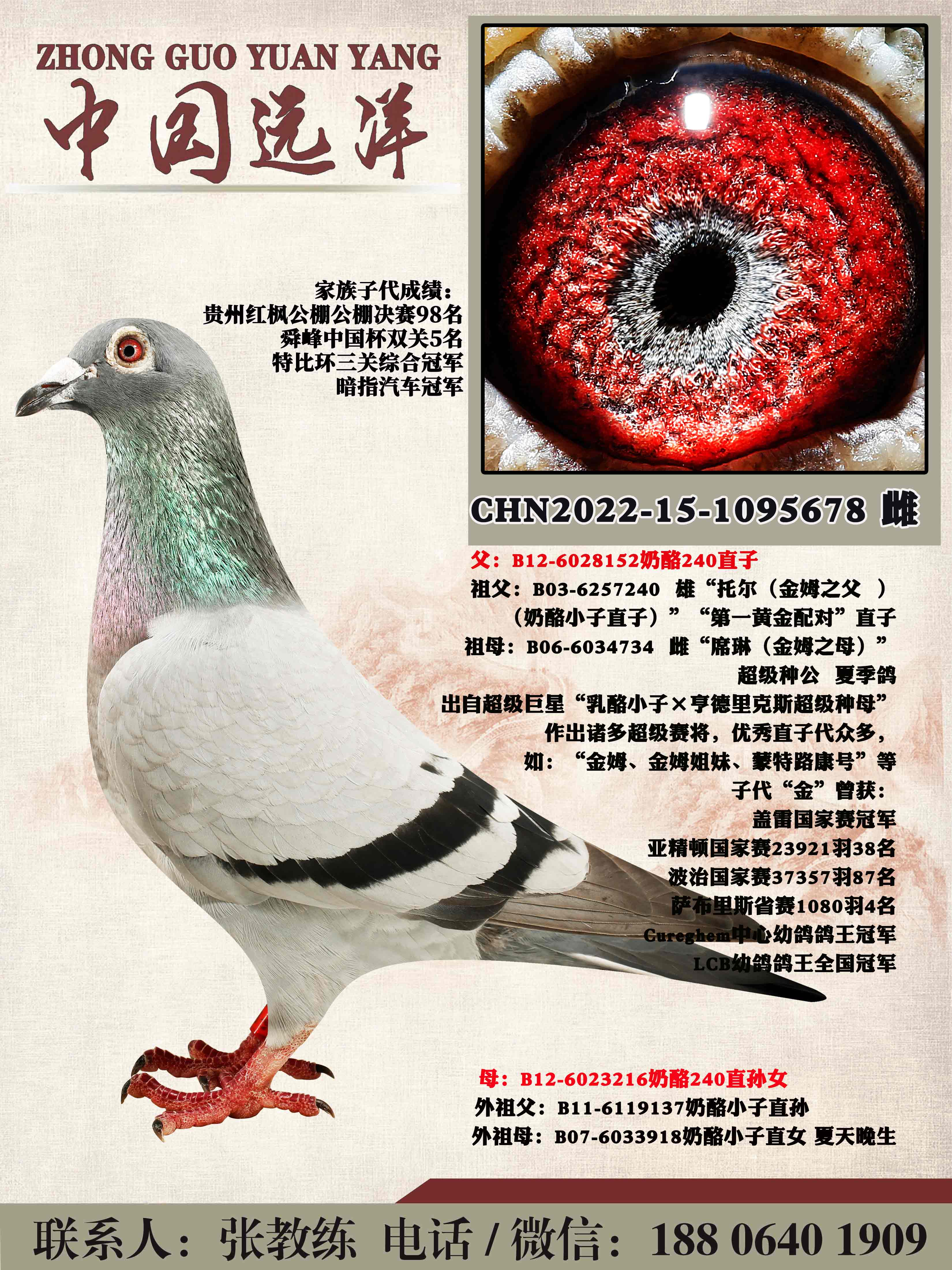 ���겻���ɼ�����