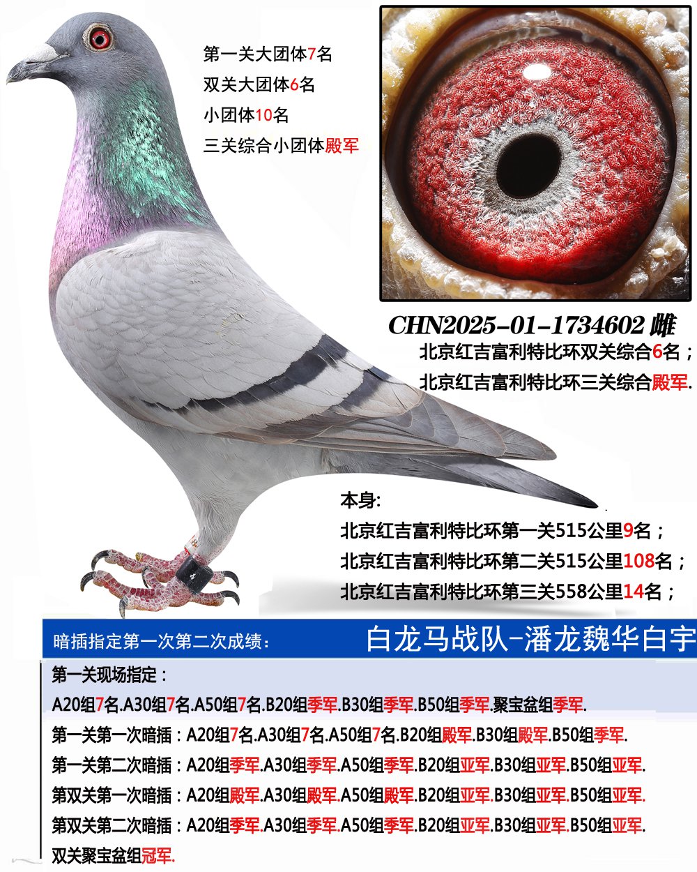 �����켪�����رȻ������ۺ�4��.