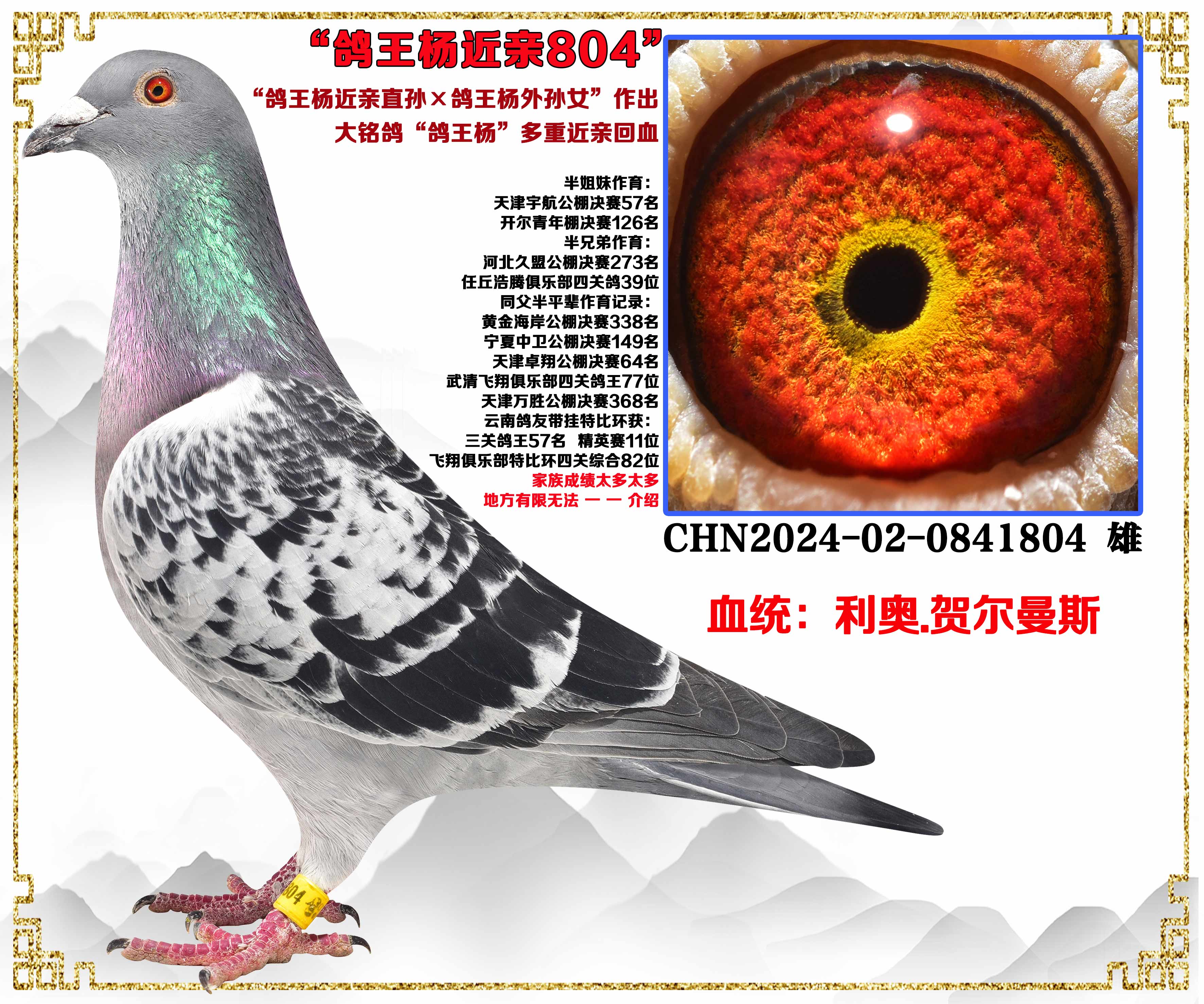 ���Ⱦ�����...