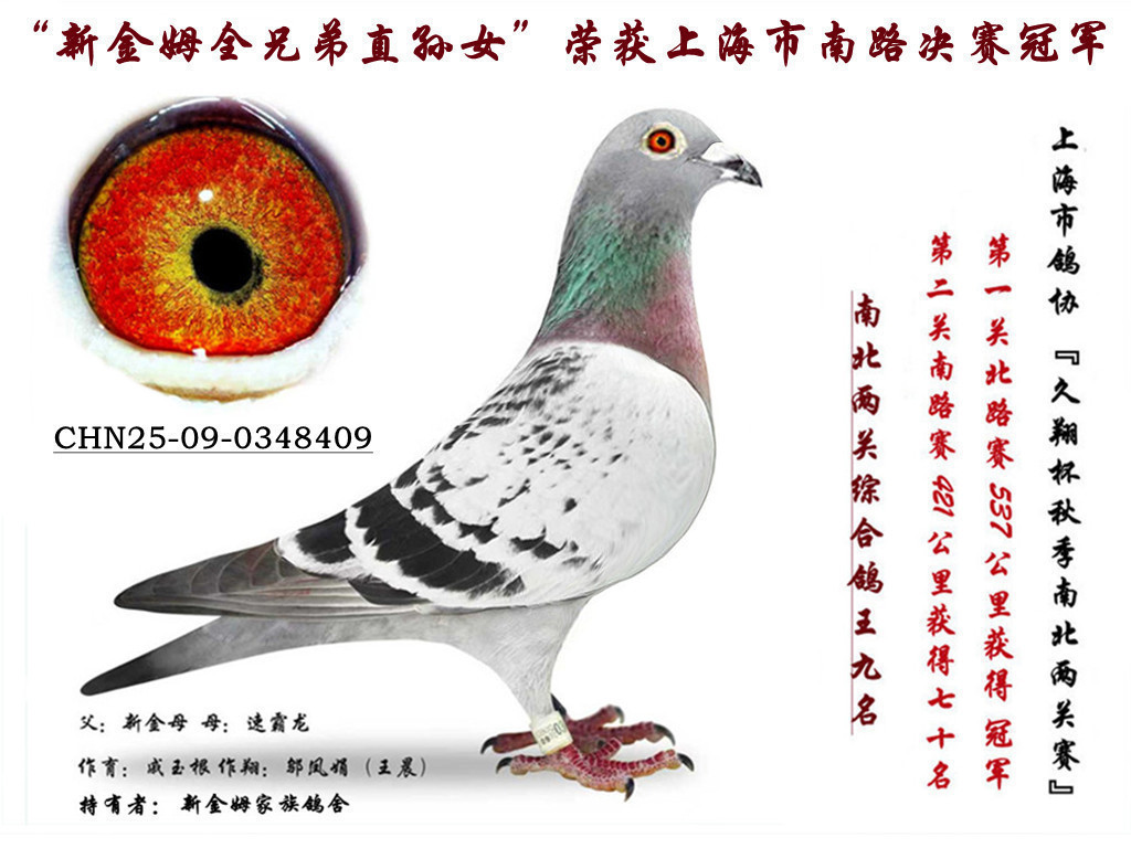 ���½�ķȫ�ֵܡ���Ů