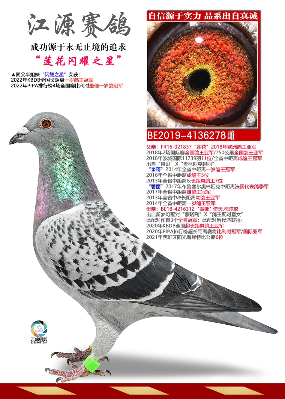 ������ҫ֮��