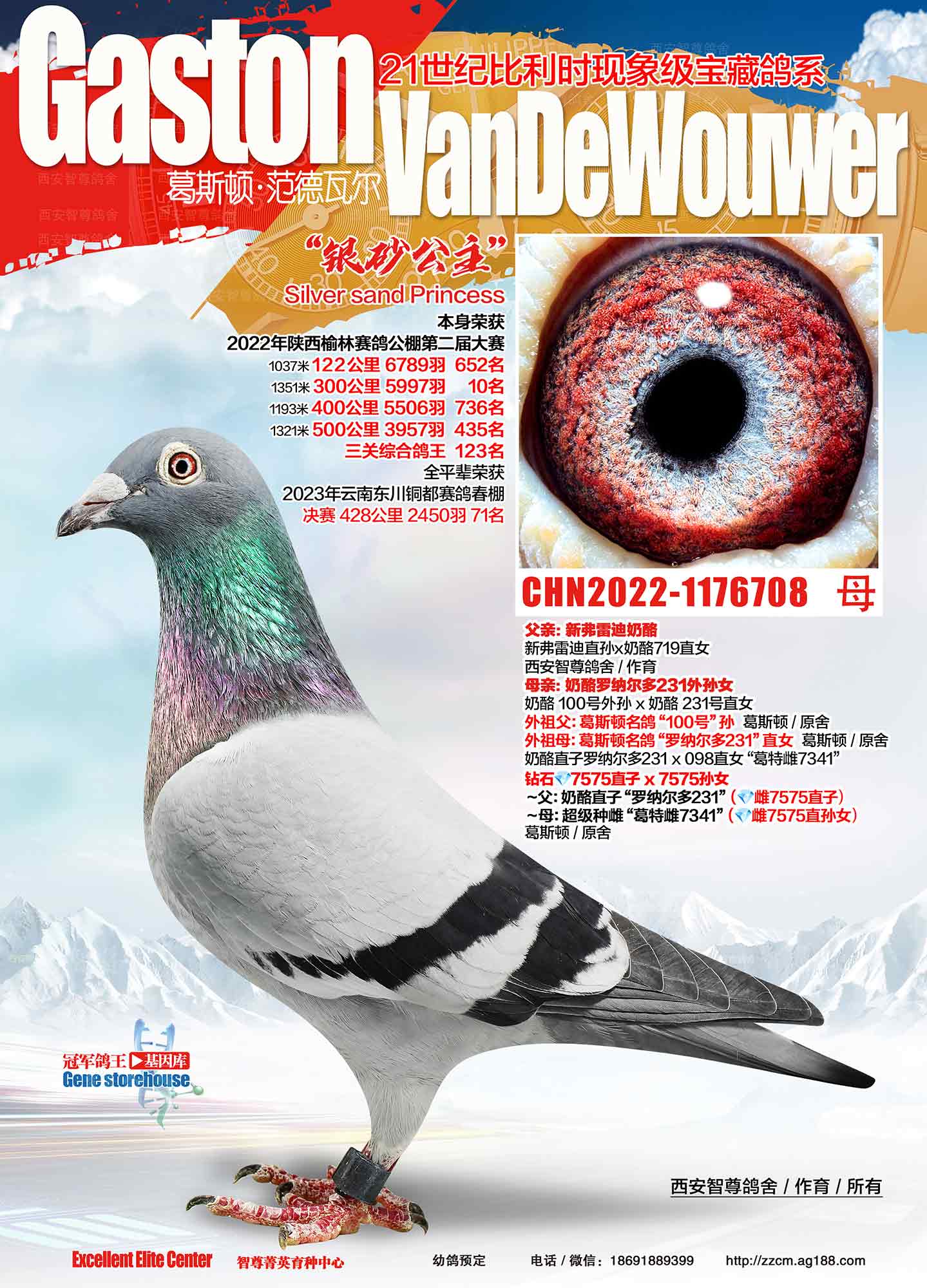 ����300����10��