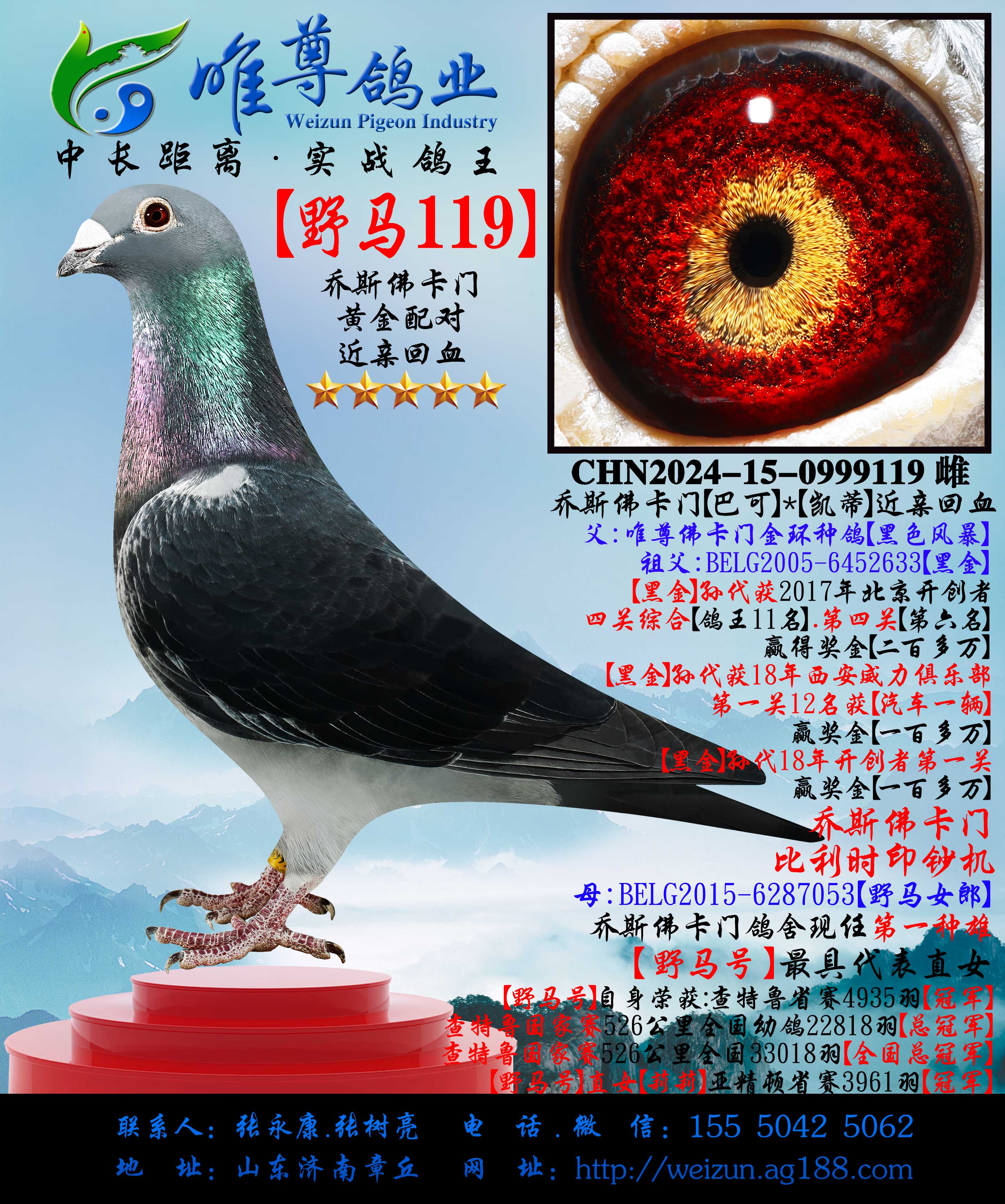 ��Ұ��119����Ұ���š�����ֱ��Ů