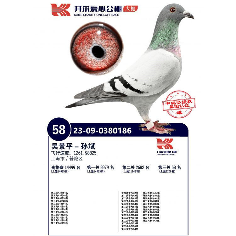 �_(k��i)������23���＾�Qِ58��