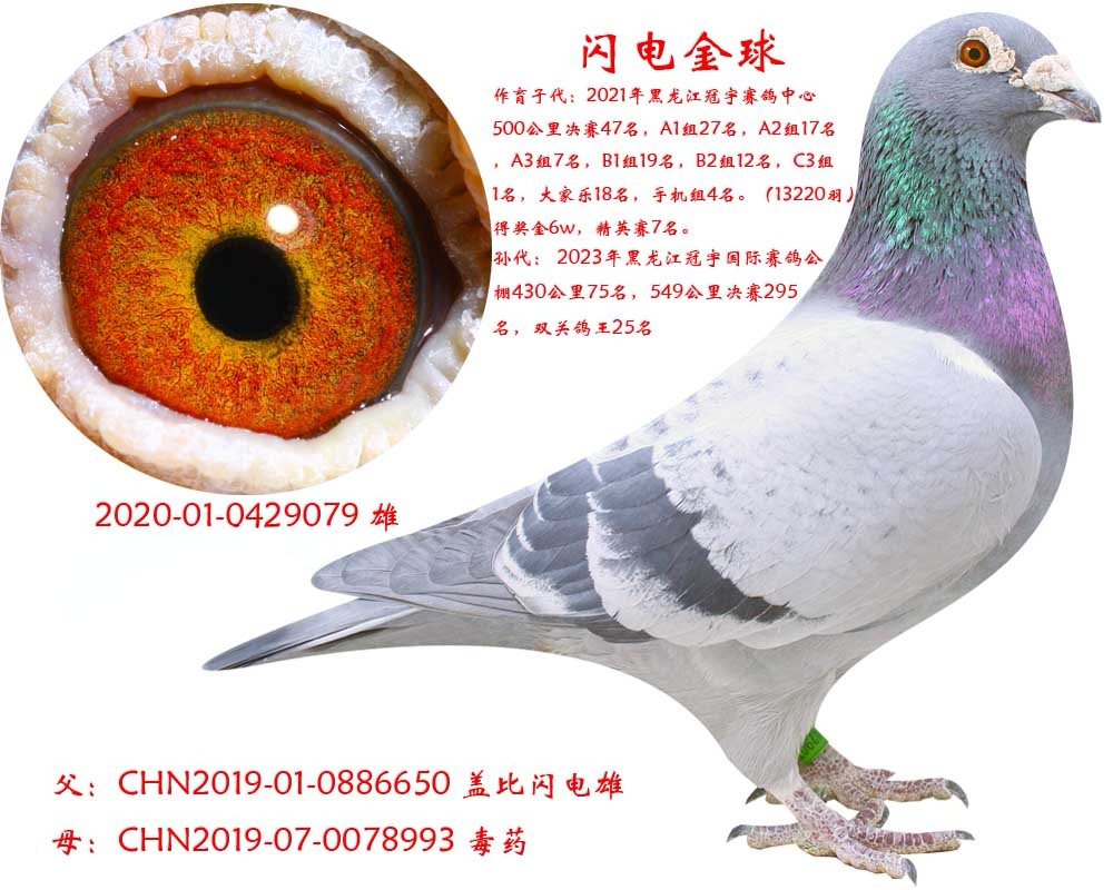 ������򣨾���47�����ף�����25��үү