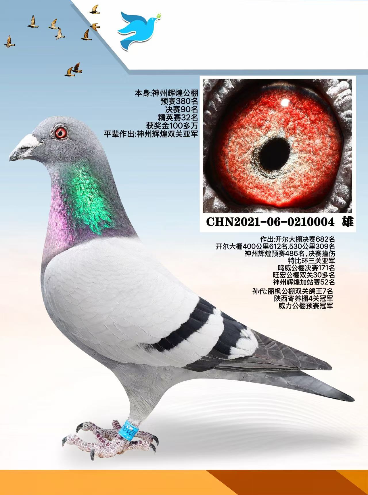 ����90��.��������