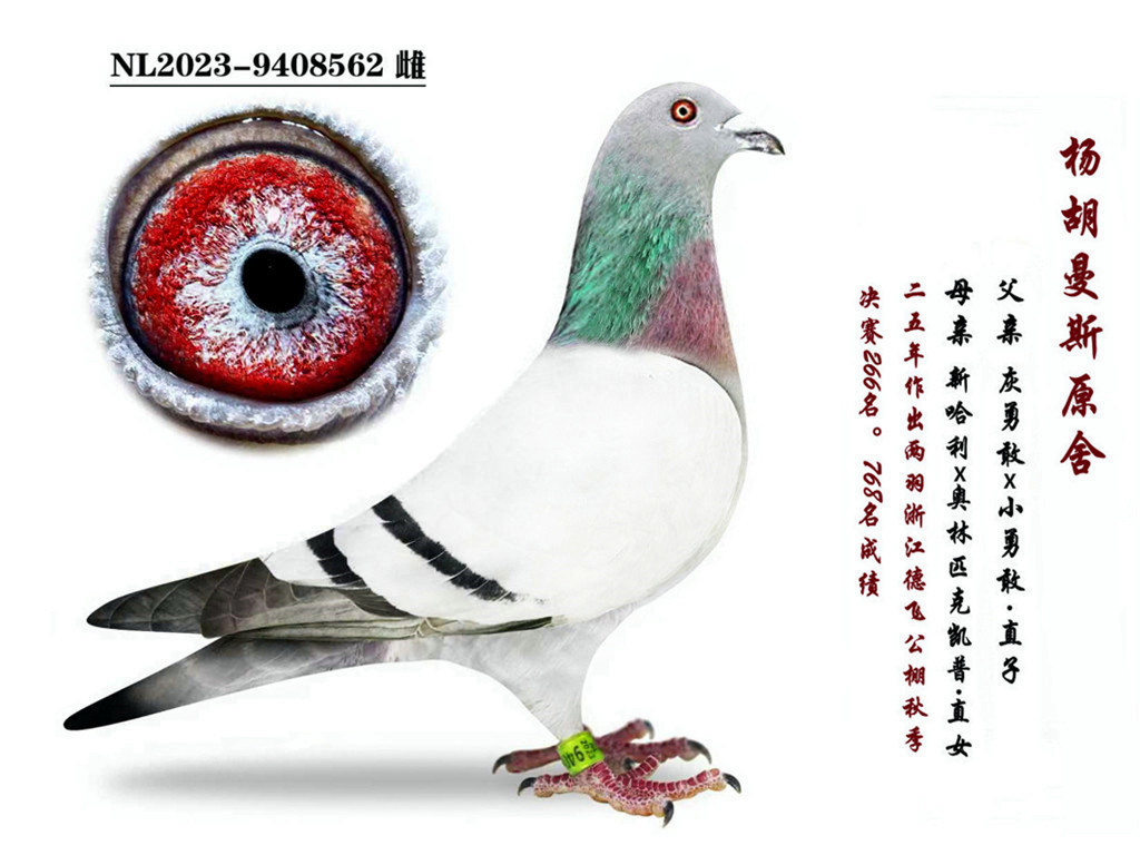 ԭ�ᡰ���¸��¹�������Ů