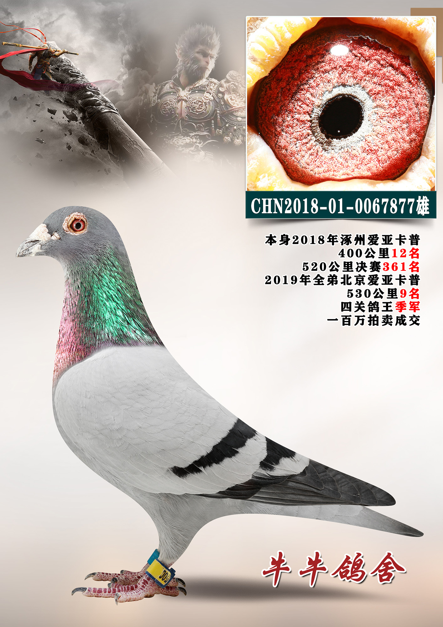 ���հ����ֵ�