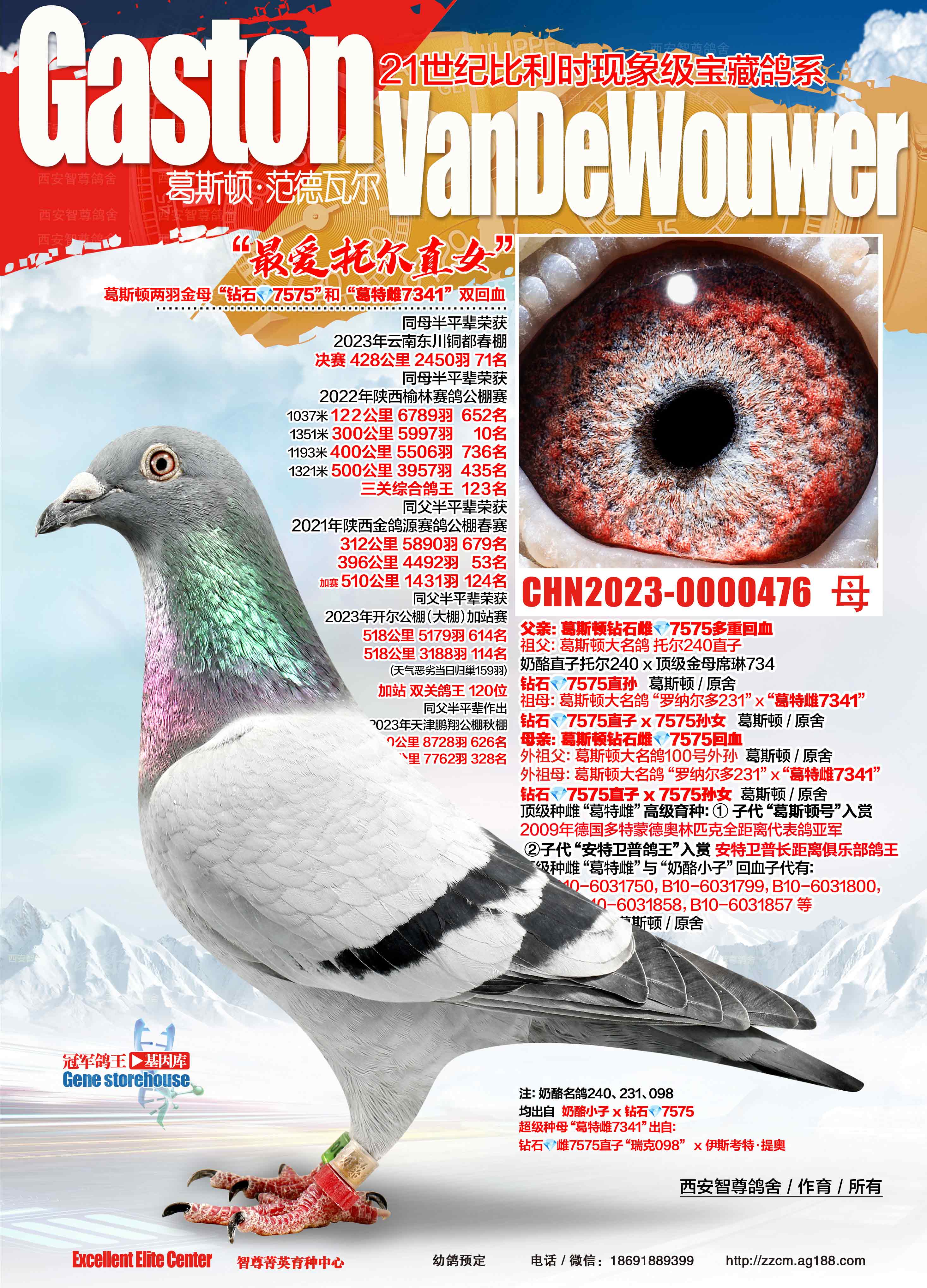 ����Р�֮Ů