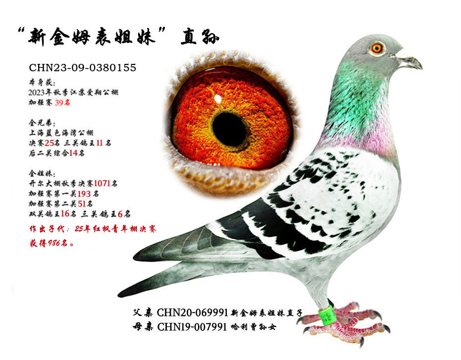 �½�ķ�����á�ֱ�