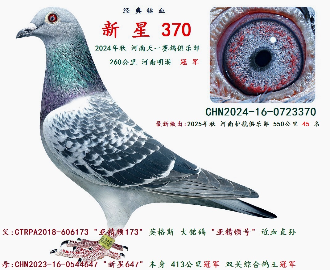 2024���� 260���� �� ��