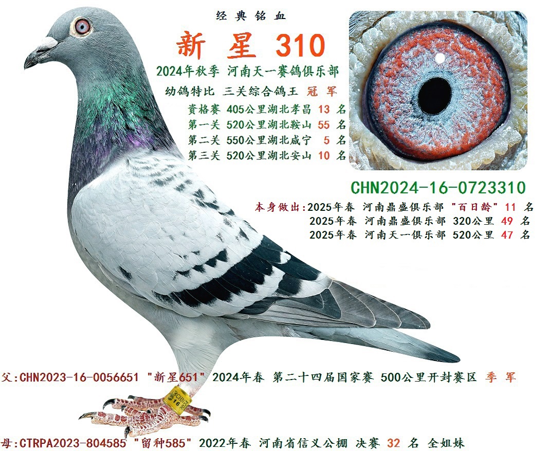 2024���� �����ۺϸ��� �� ��