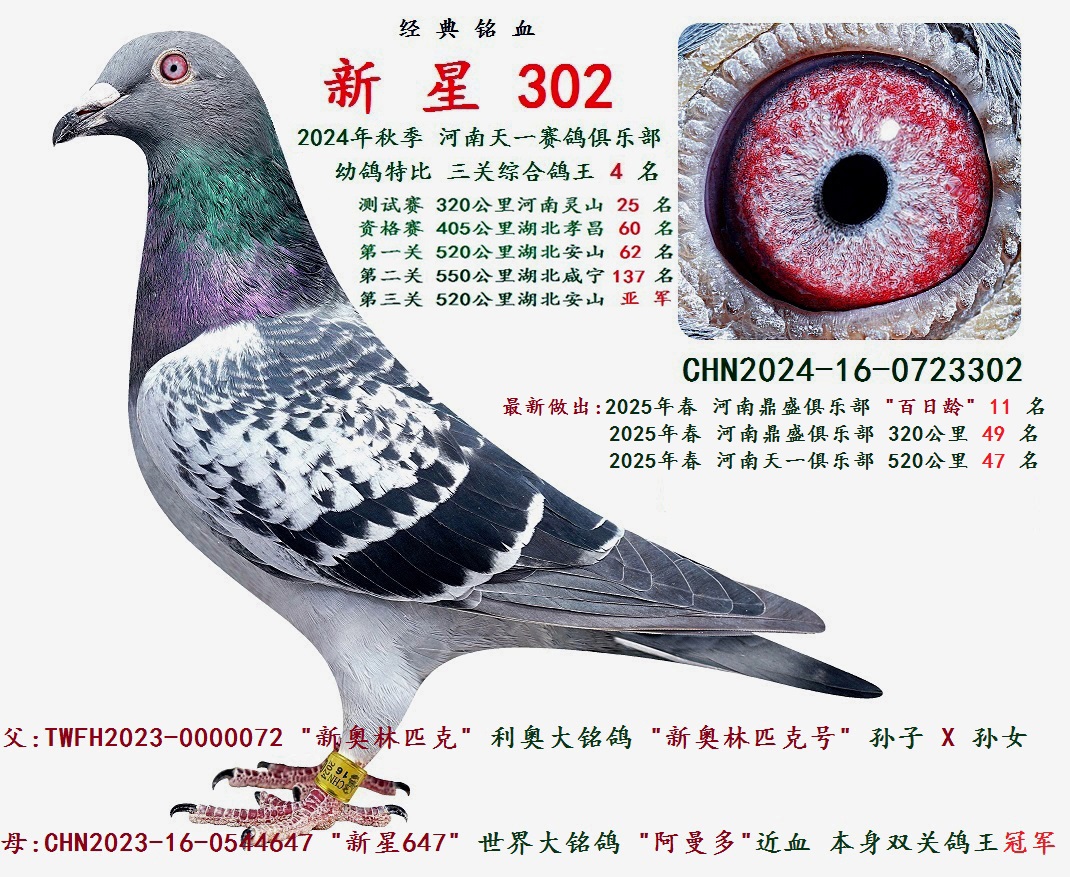 2024���� �����ۺϸ��� 4 ��