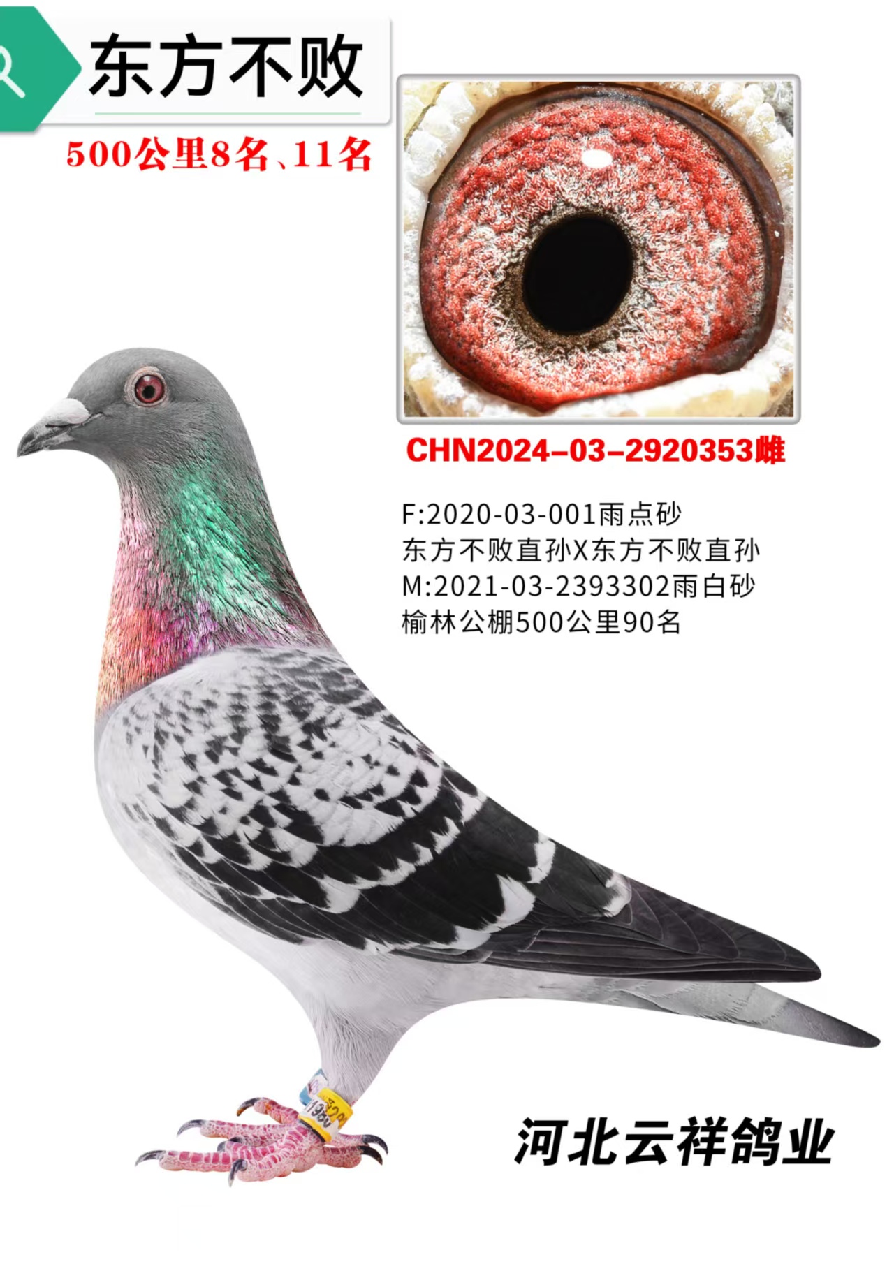 ����90��ֱŮ353