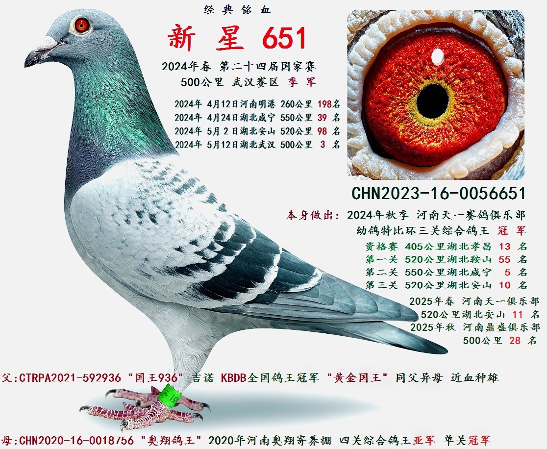 2024�괺  �ڶ�ʮ�Ľ������ ����