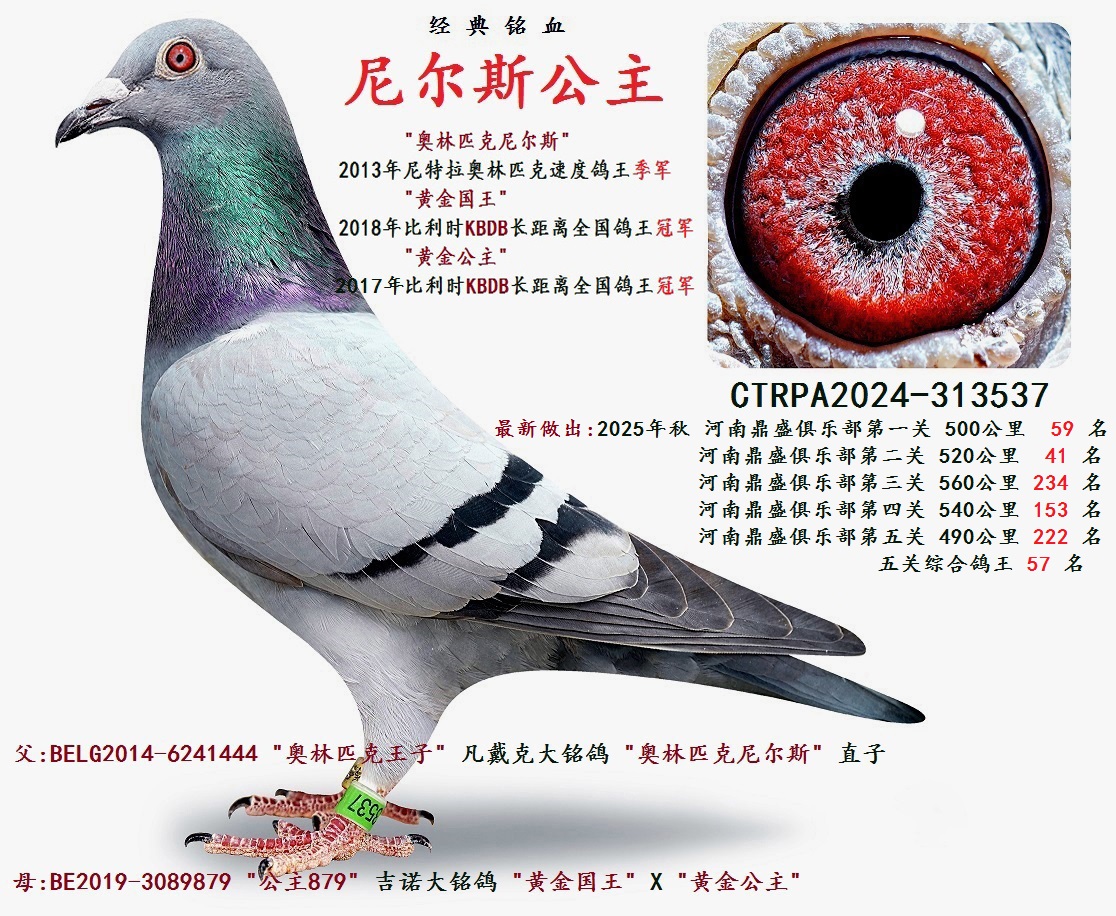 ���˹����