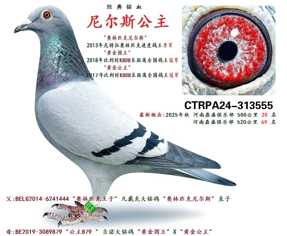 ���˹����