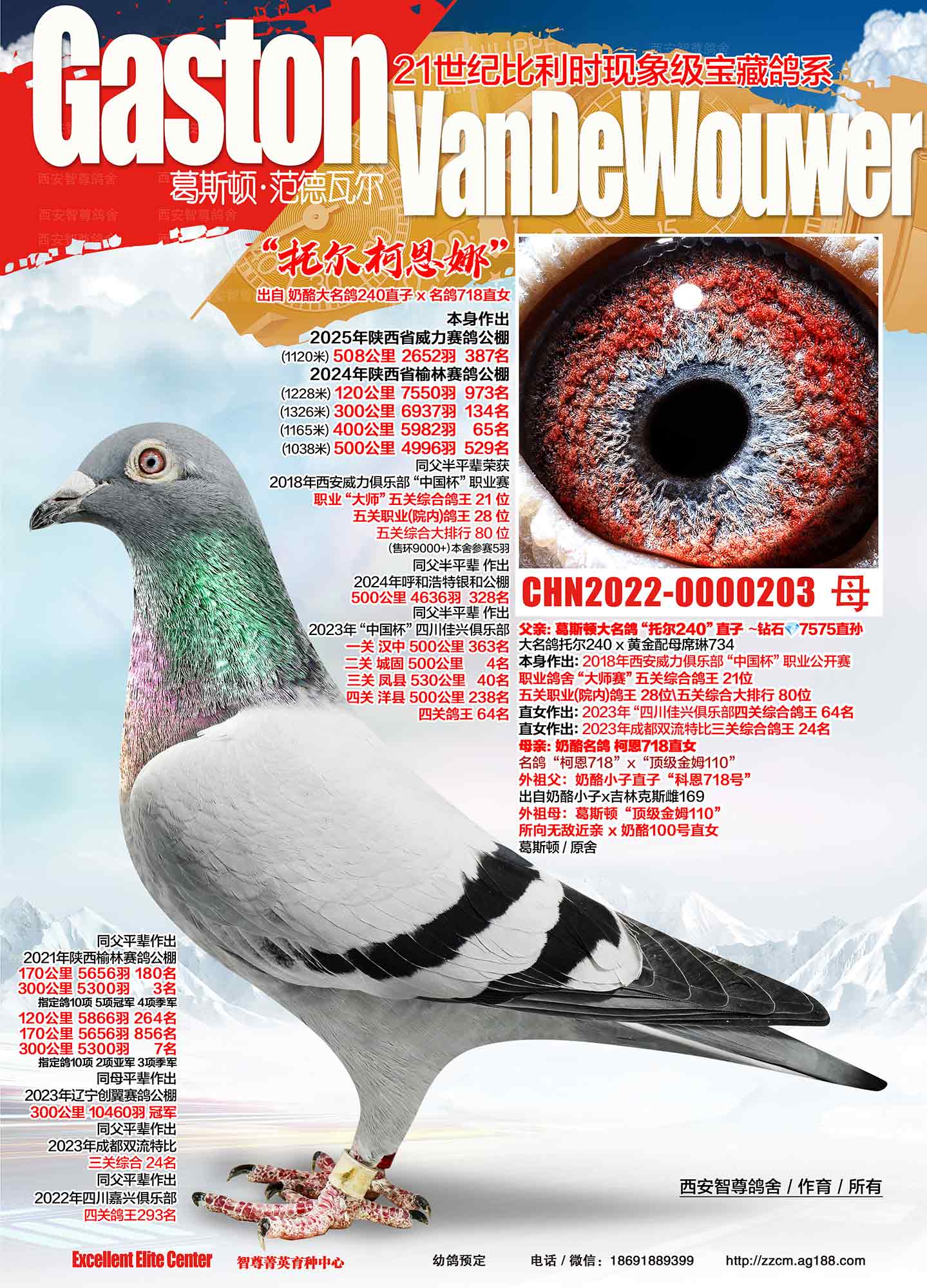 240��Ů718����Ů