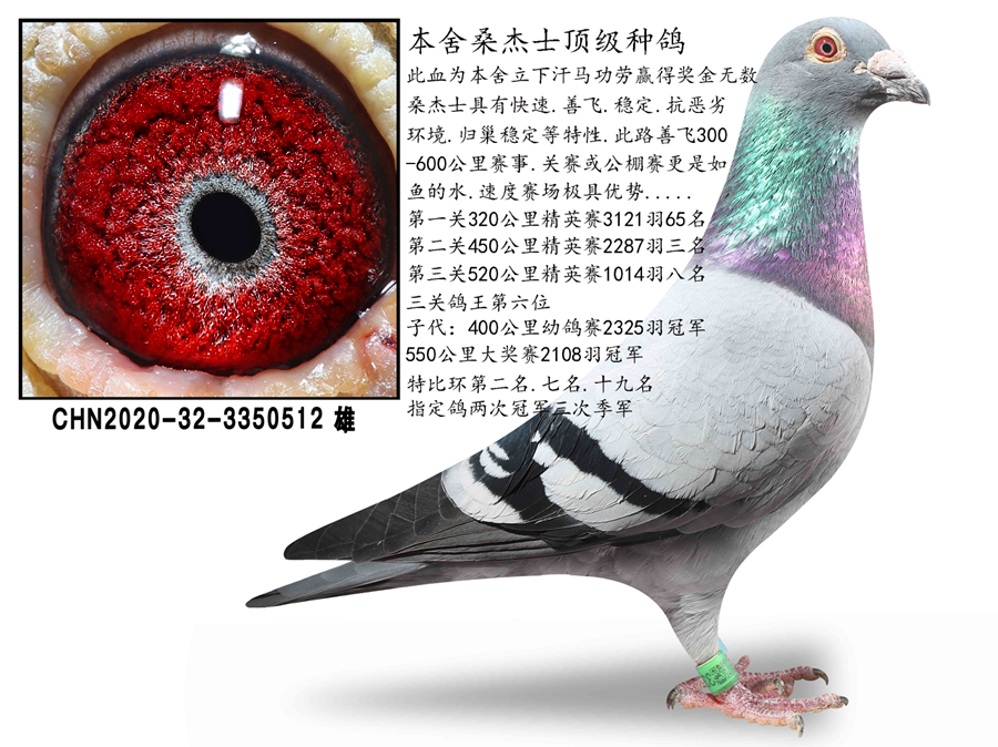 ɣ��ʿ��������