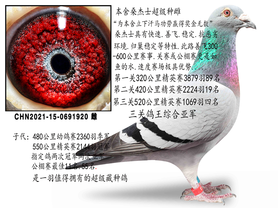 ɣ��ʿ������ĸ