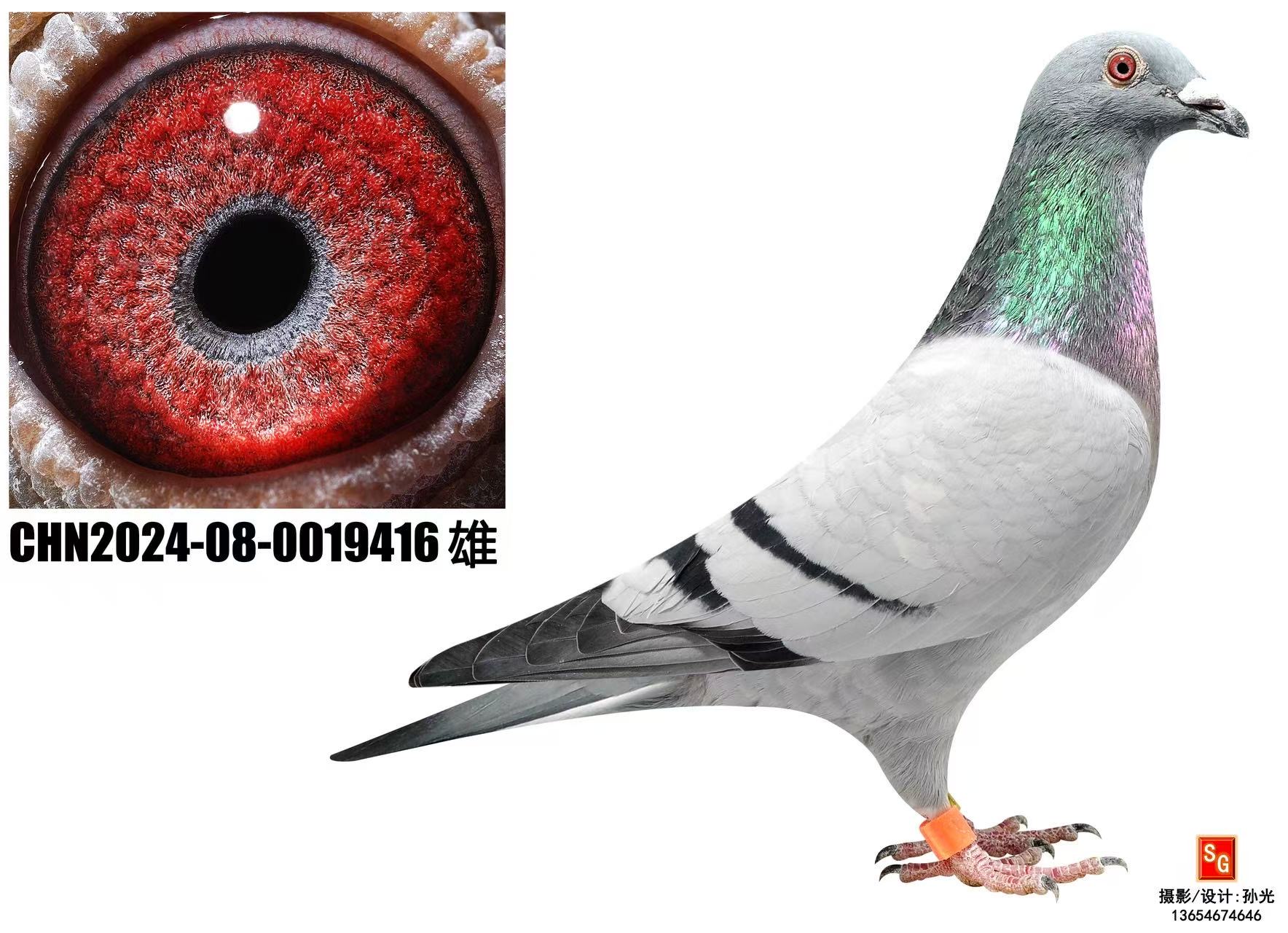 ��������ֱ��