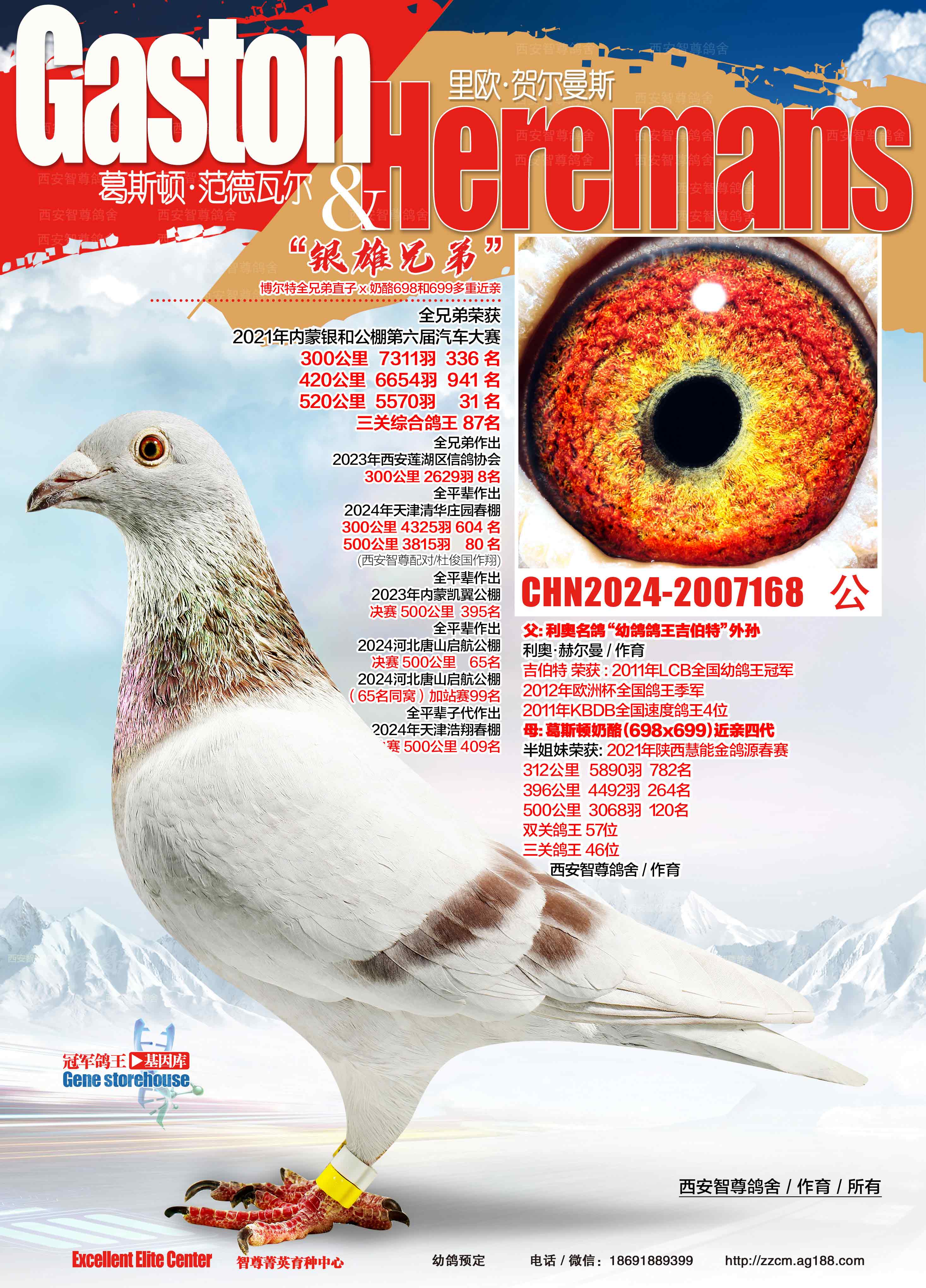 �y�ۑ�(zh��n)���ֵ�