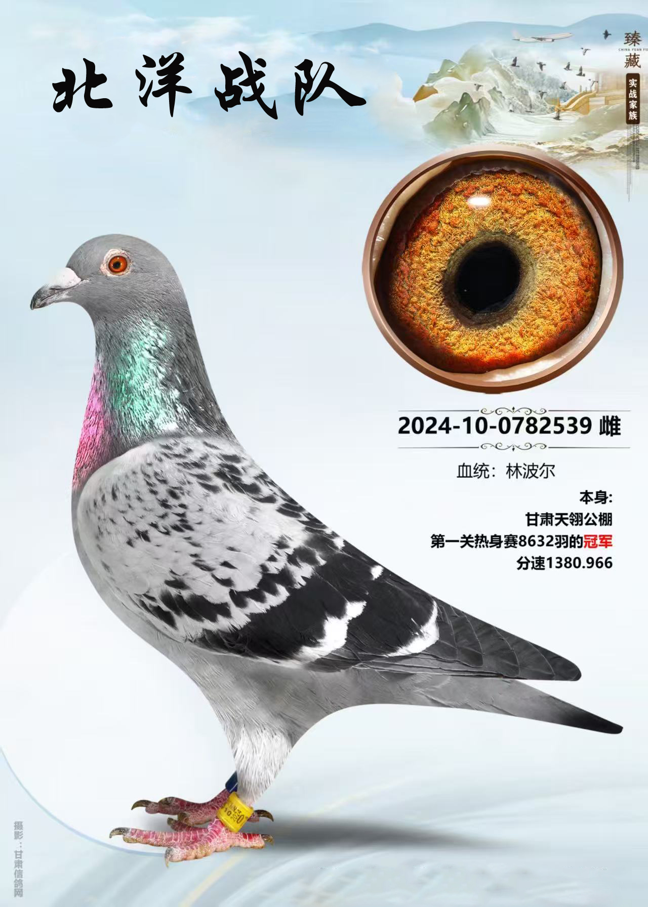 24��������������8632��ھ�ʨ��