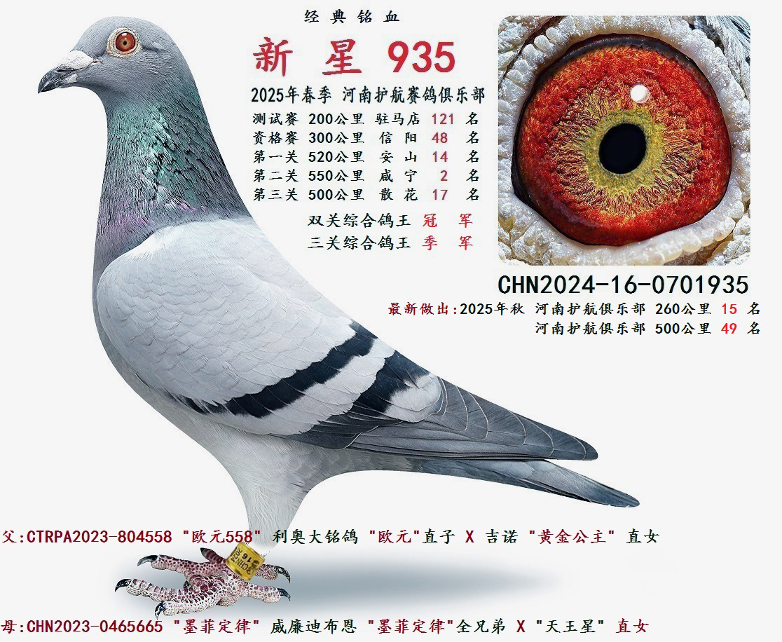 2025�괺 ˫���ۺϸ����ھ�