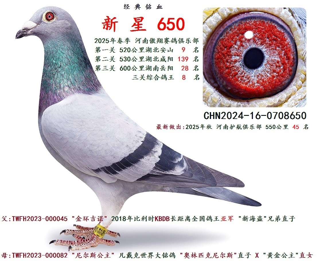 2025�괺   �����ۺϸ��� 8 ��