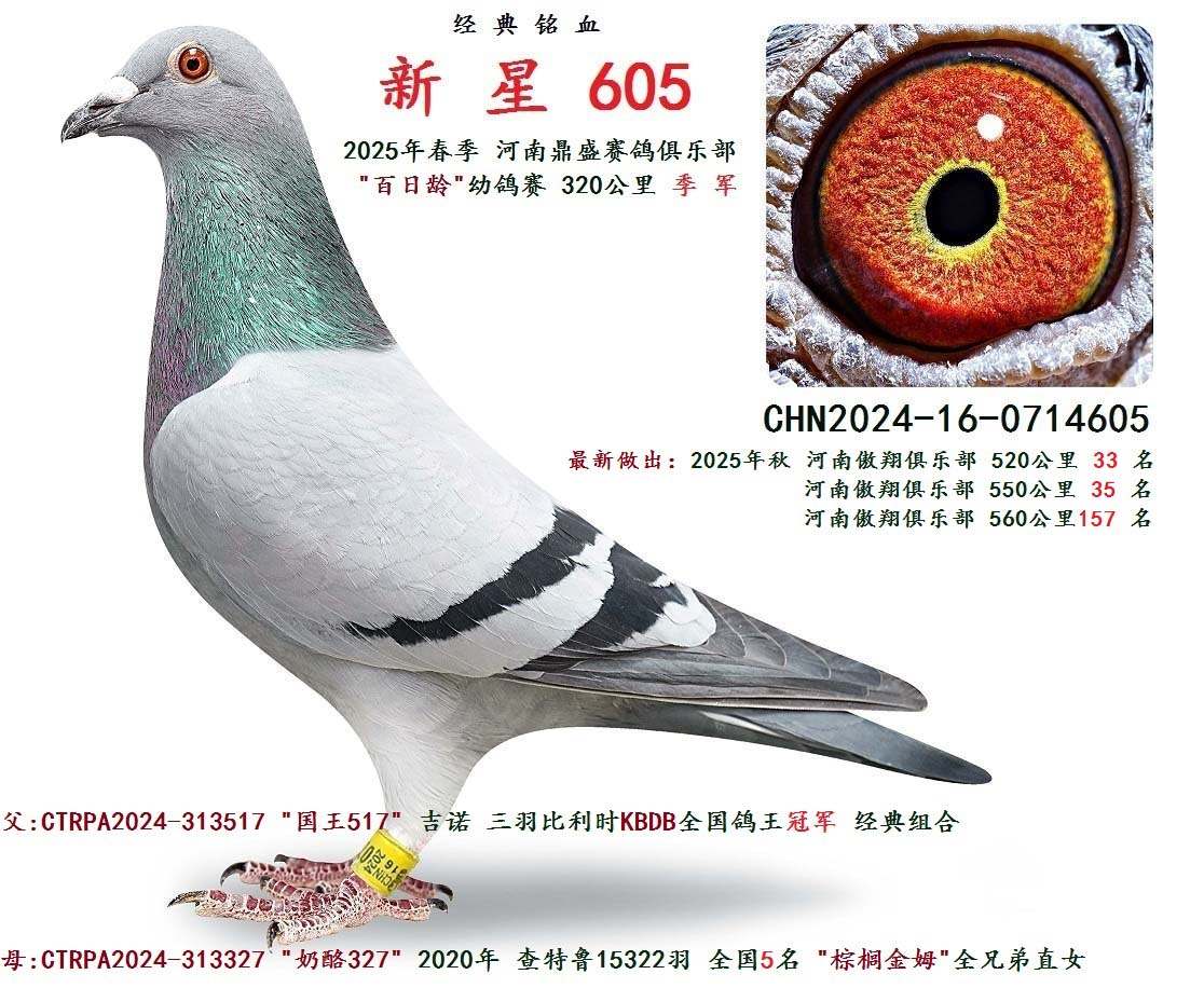 2025�괺 �������׸���  ��  ��