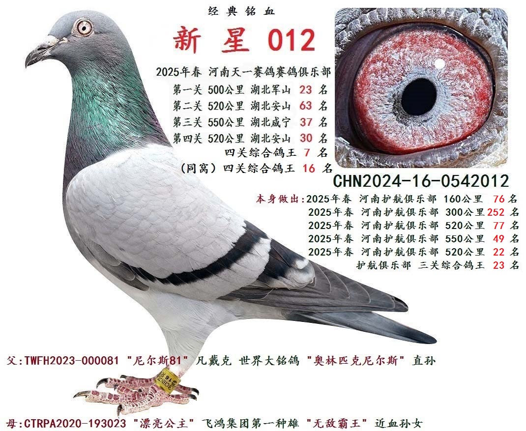 2025�괺�� �Ĺ��ۺϸ��� 7  ��