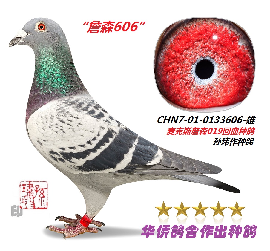 ���������18�ιھ�ղɭ���˹019ϵ