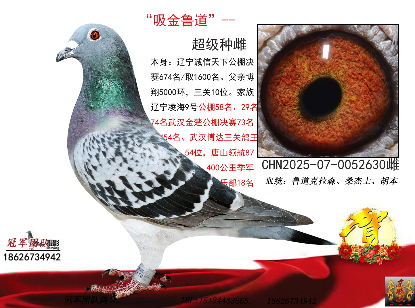 ���³��������������674��ȡ1600��