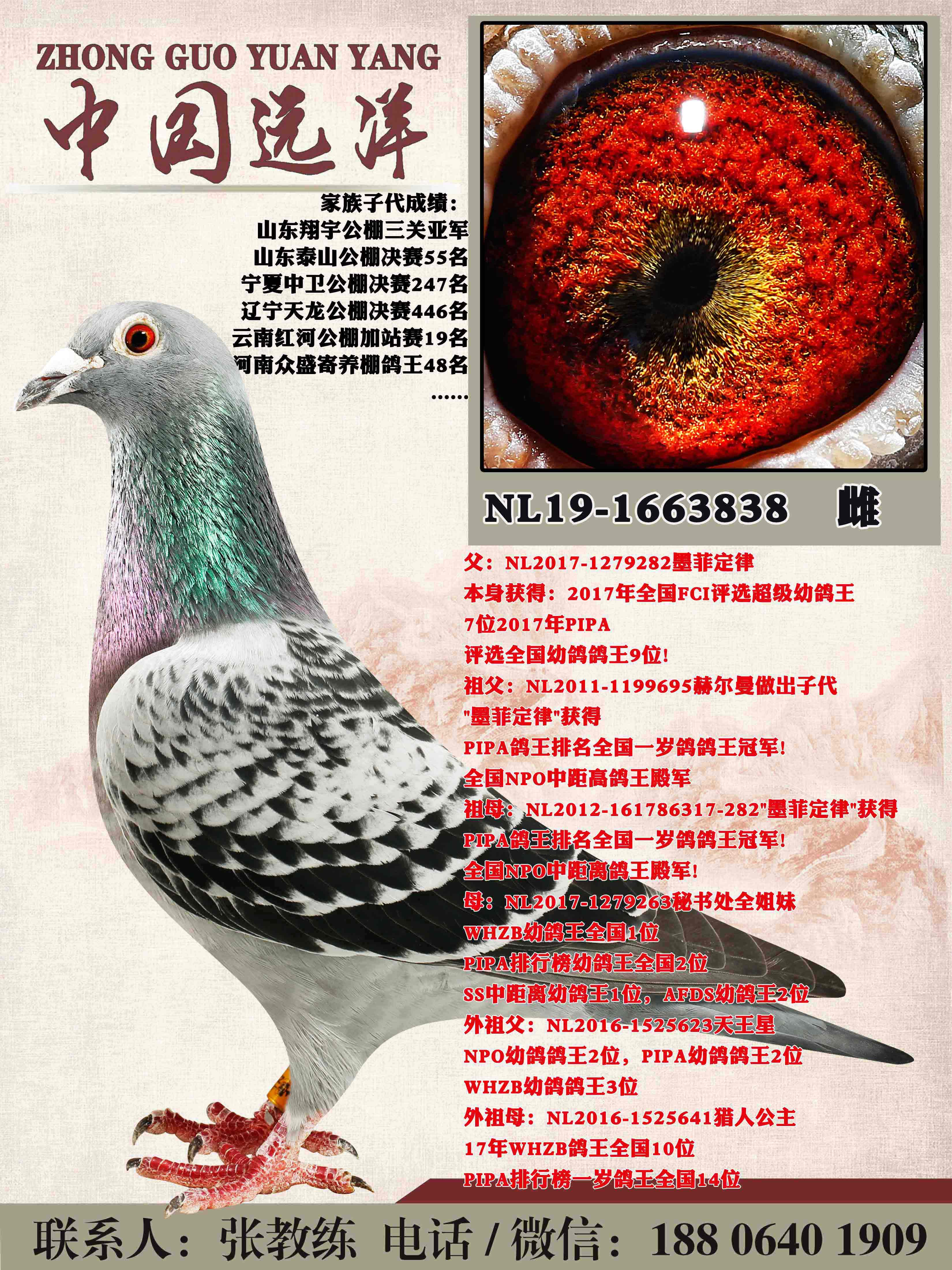 �����ϲ���ī�ƶ���ֱŮ