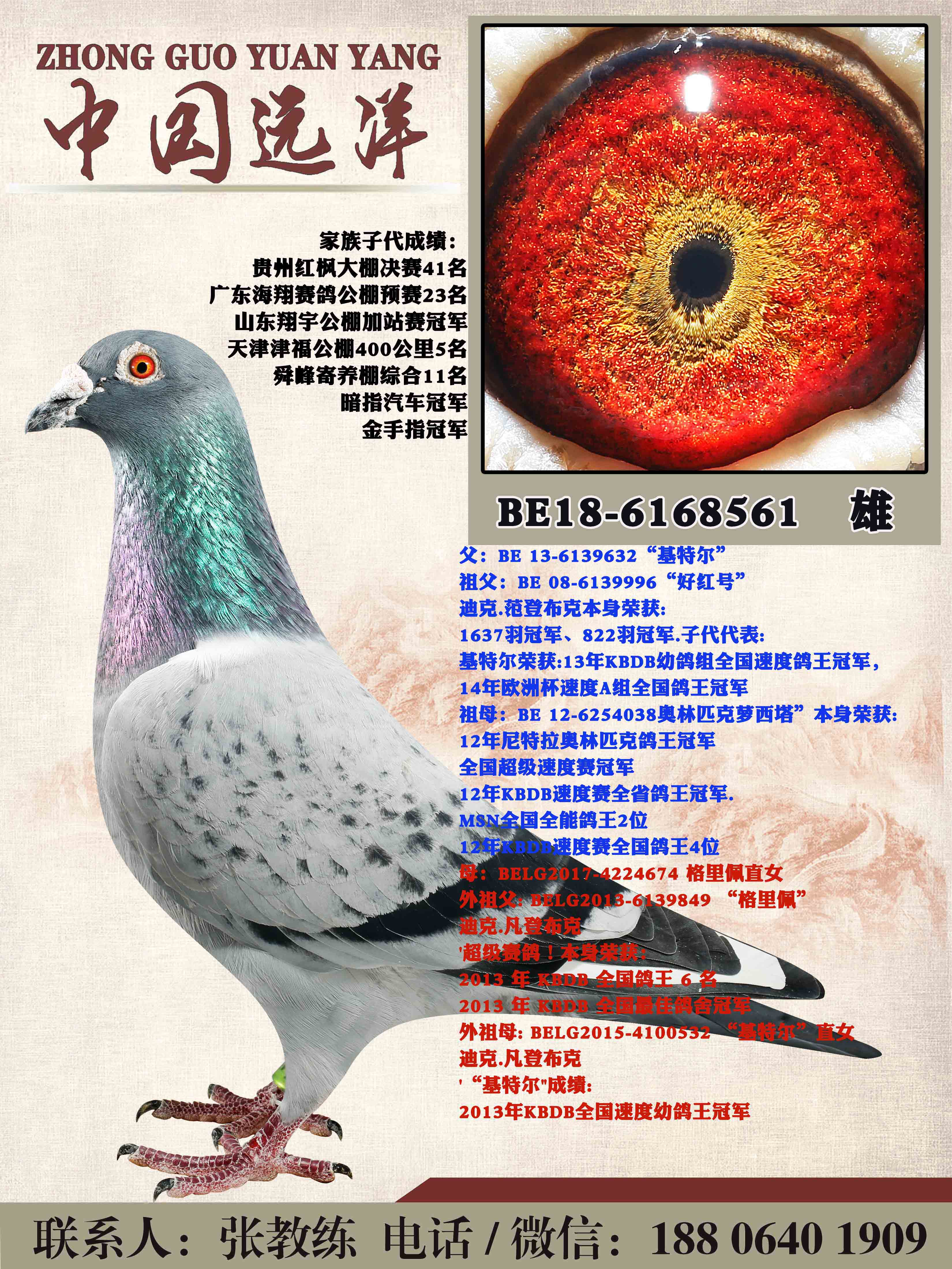 ���ض�ֱ��