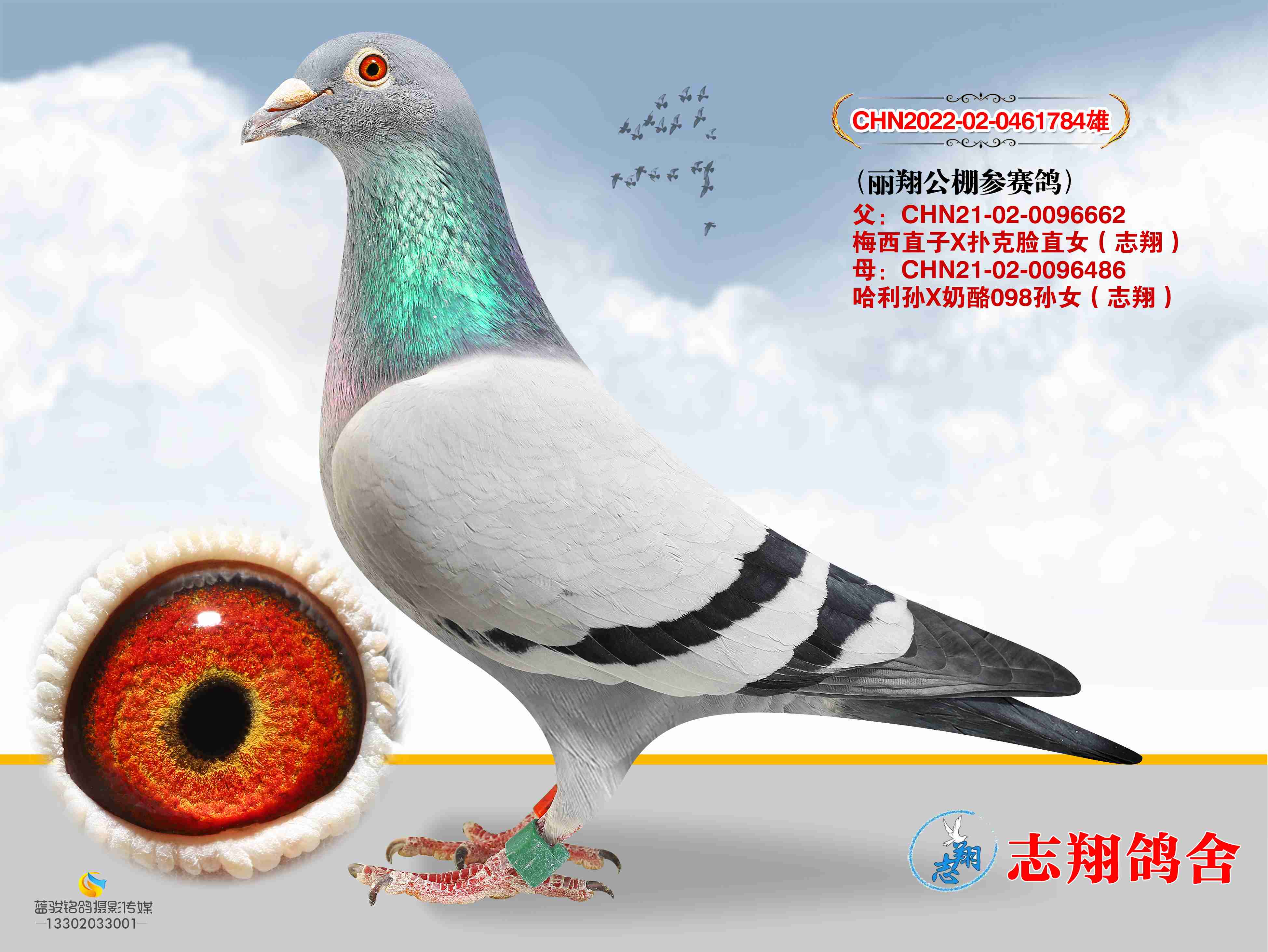 ���蹫�������