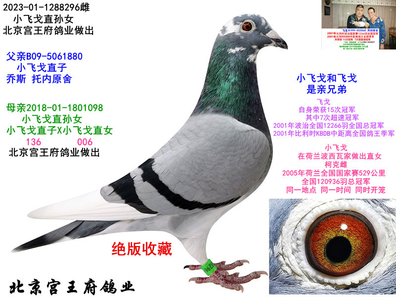 ���ȡ�С�ɸ꡿ֱ��Ů