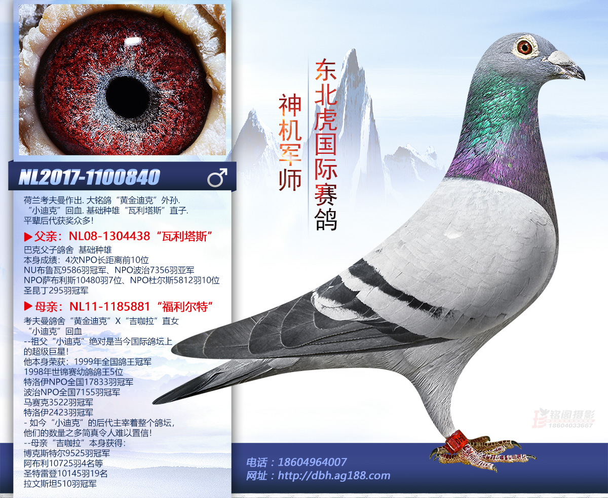 ��C(j��)܊��