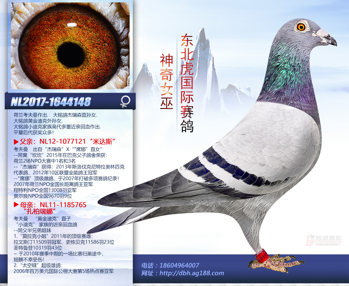 ����Ů��