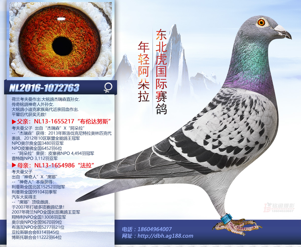 ���p������